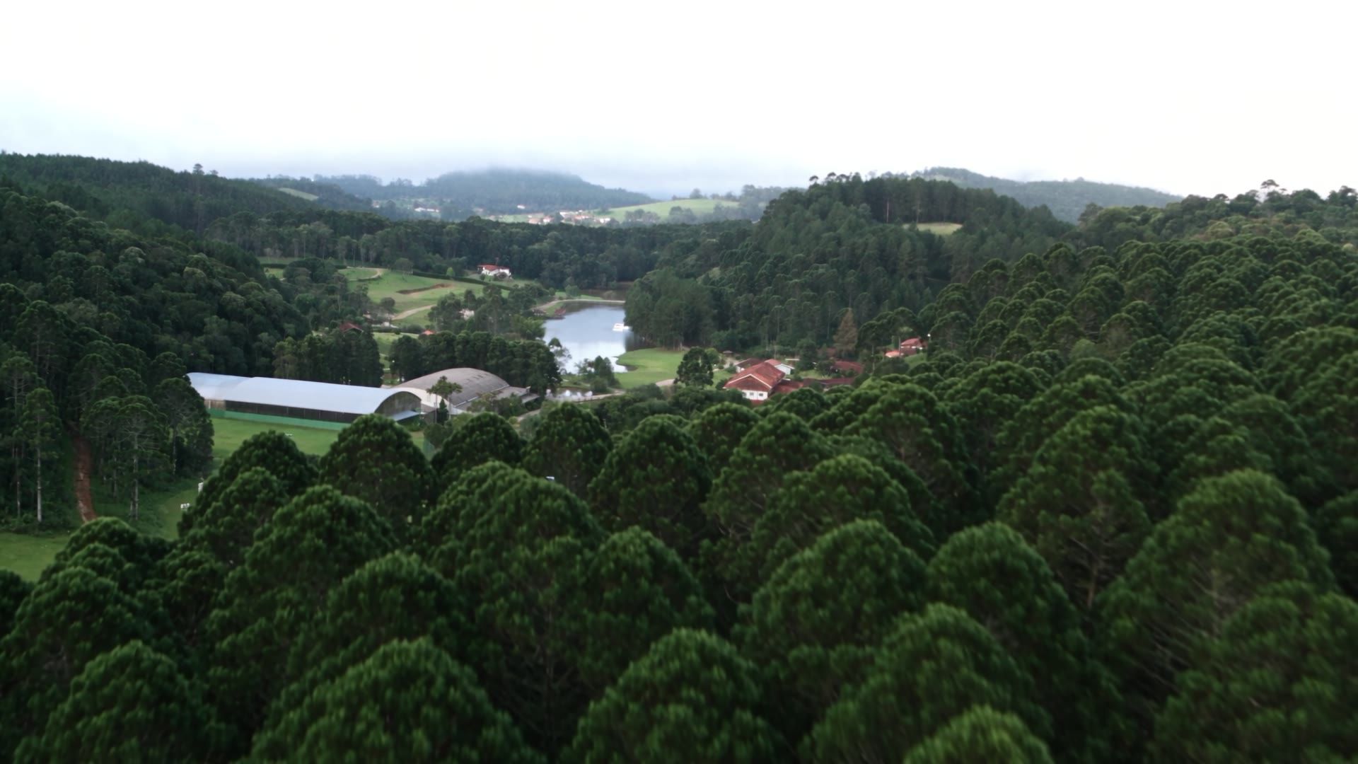 Summer Camp, peça 1